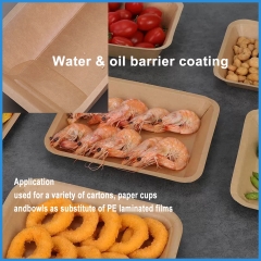 طلاء مائي لكوب ورقي خالٍ من البلاستيك